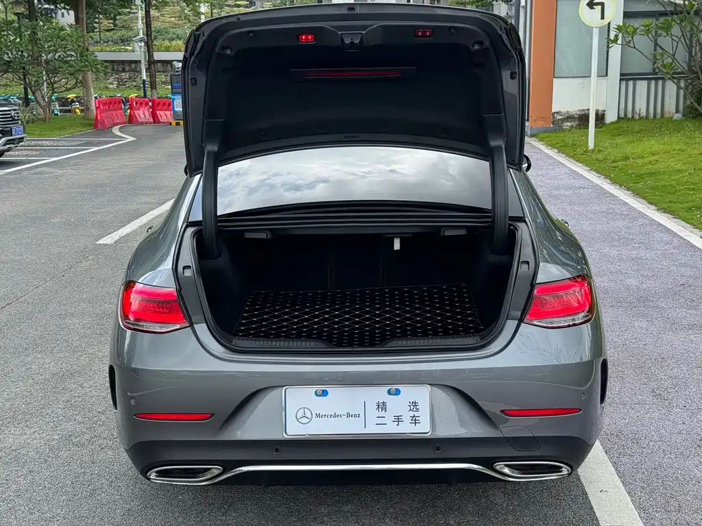 Mercedes-Benz CLS 2019 — фото 16