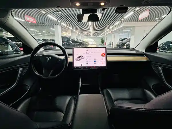 Tesla Model 3 2019