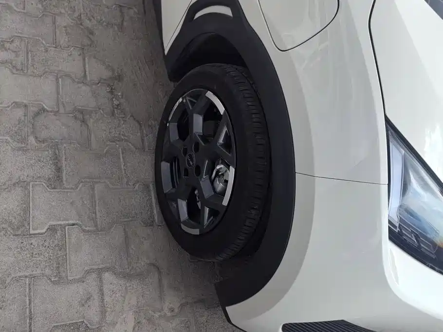 BYD Seagull 2025