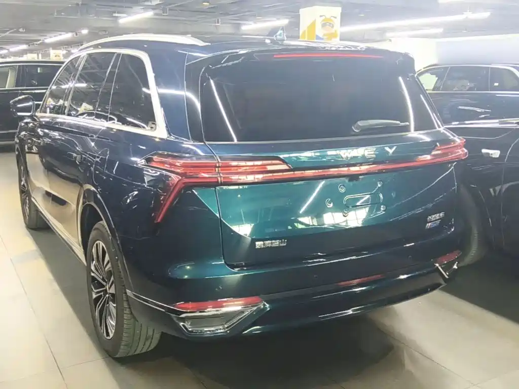 Wey Lanshan 2024