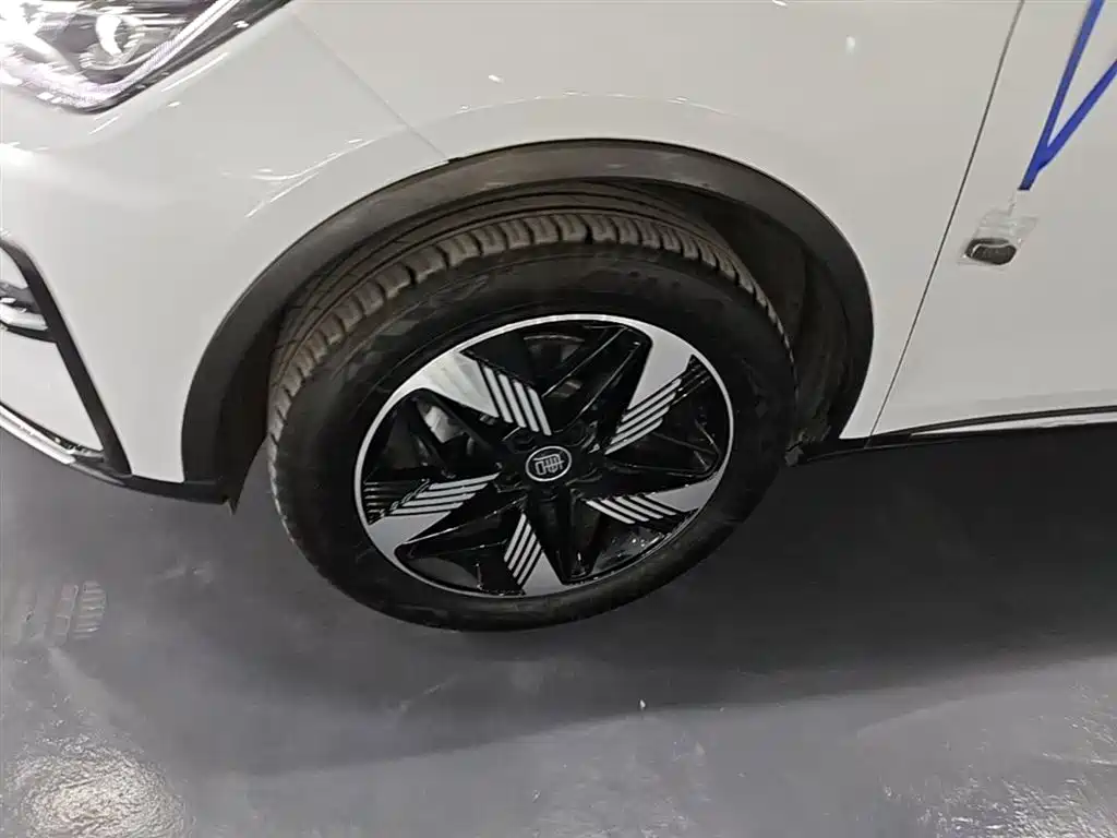 BYD Tang New Energy 2023 — фото 23
