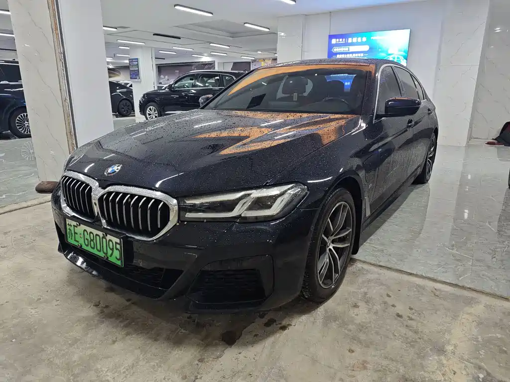 BMW 5 Series New Energy 2021