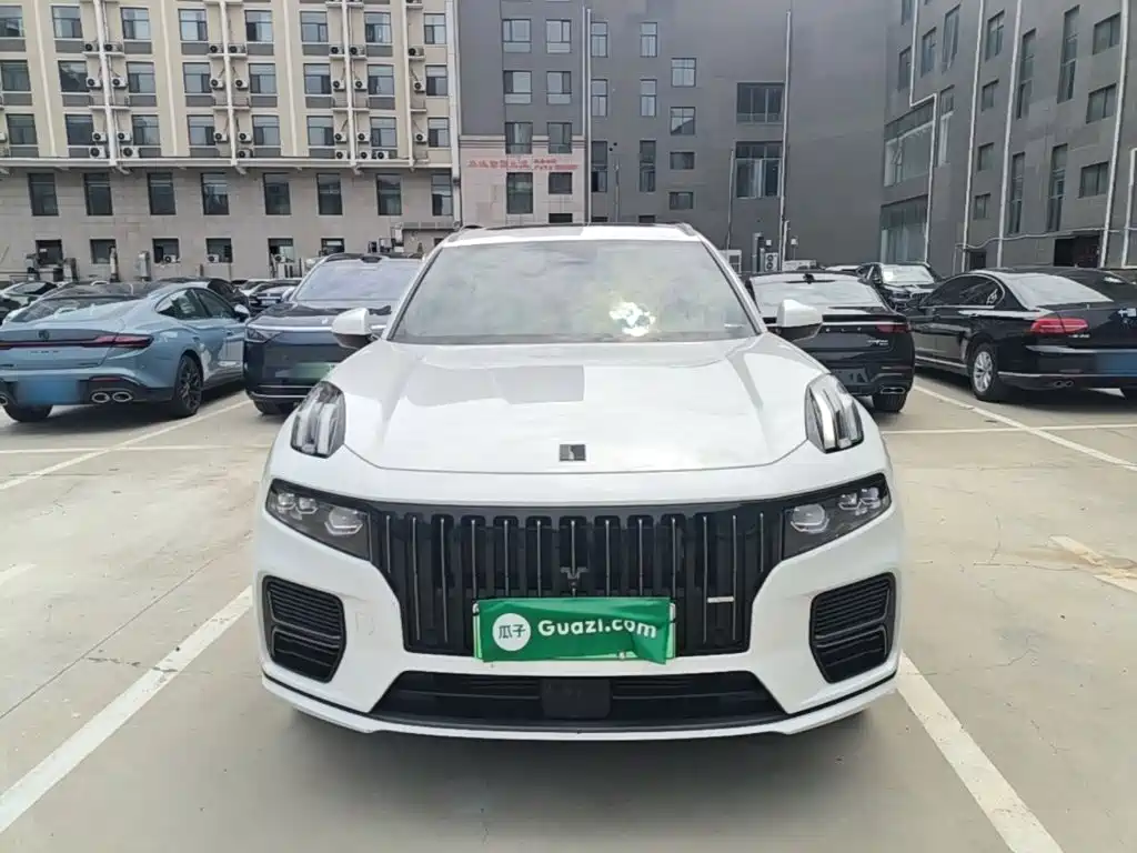 Lynk & Co 09 EM-P 2024