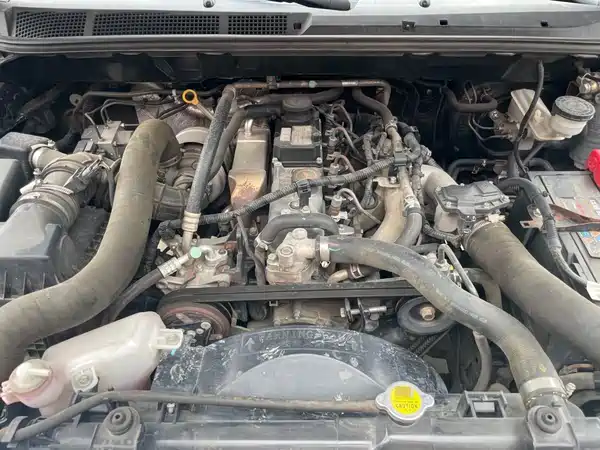 Isuzu RE-MAX Ruimai 2021