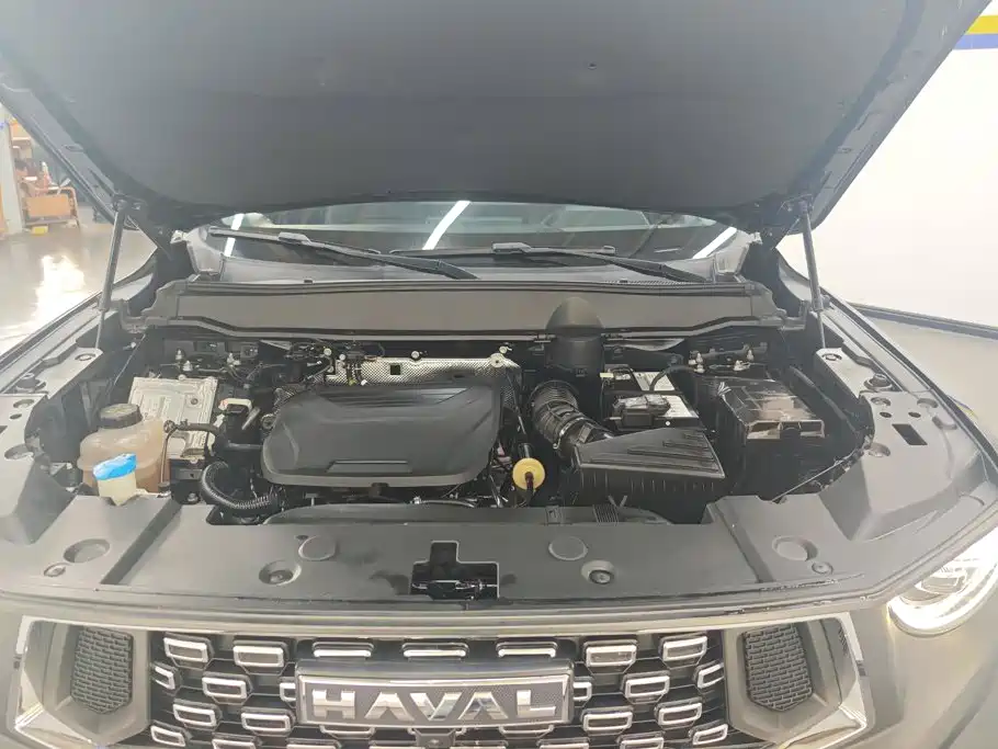 Haval Dog PLUS 2023 — фото 10