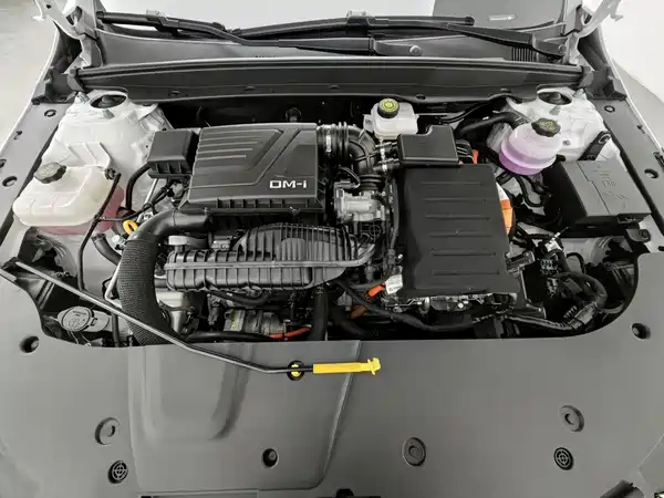 BYD Destroyer 05 2024