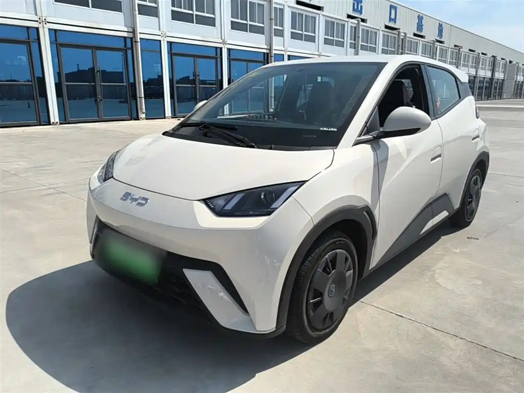 BYD Seagull 2025