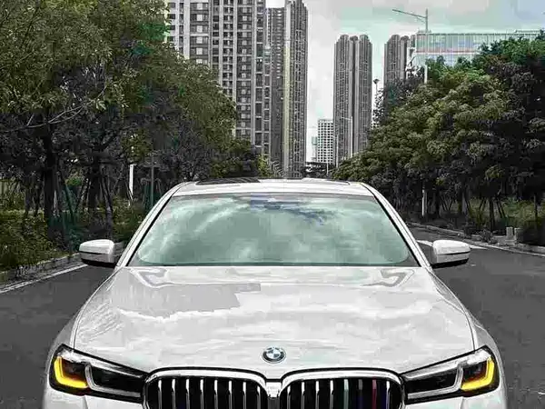 BMW 5 Series New Energy 2021