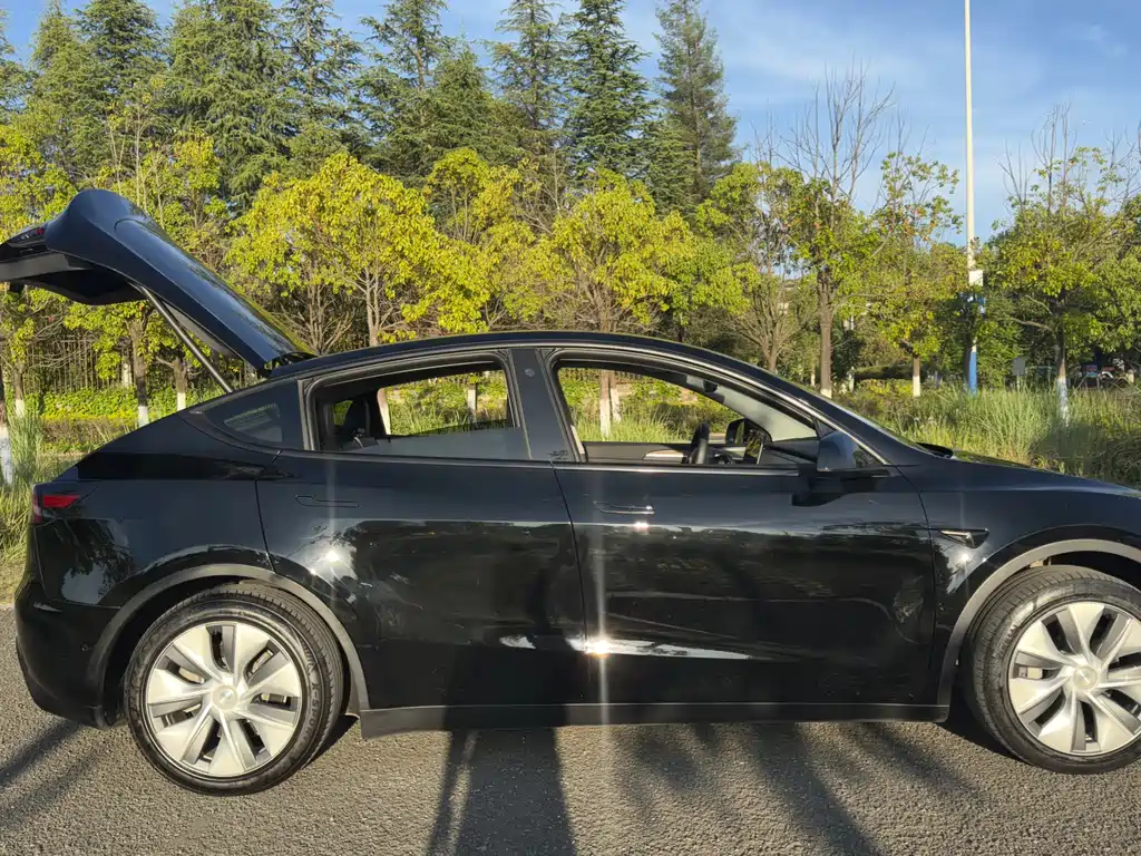 Tesla Model Y 2023 — фото 15