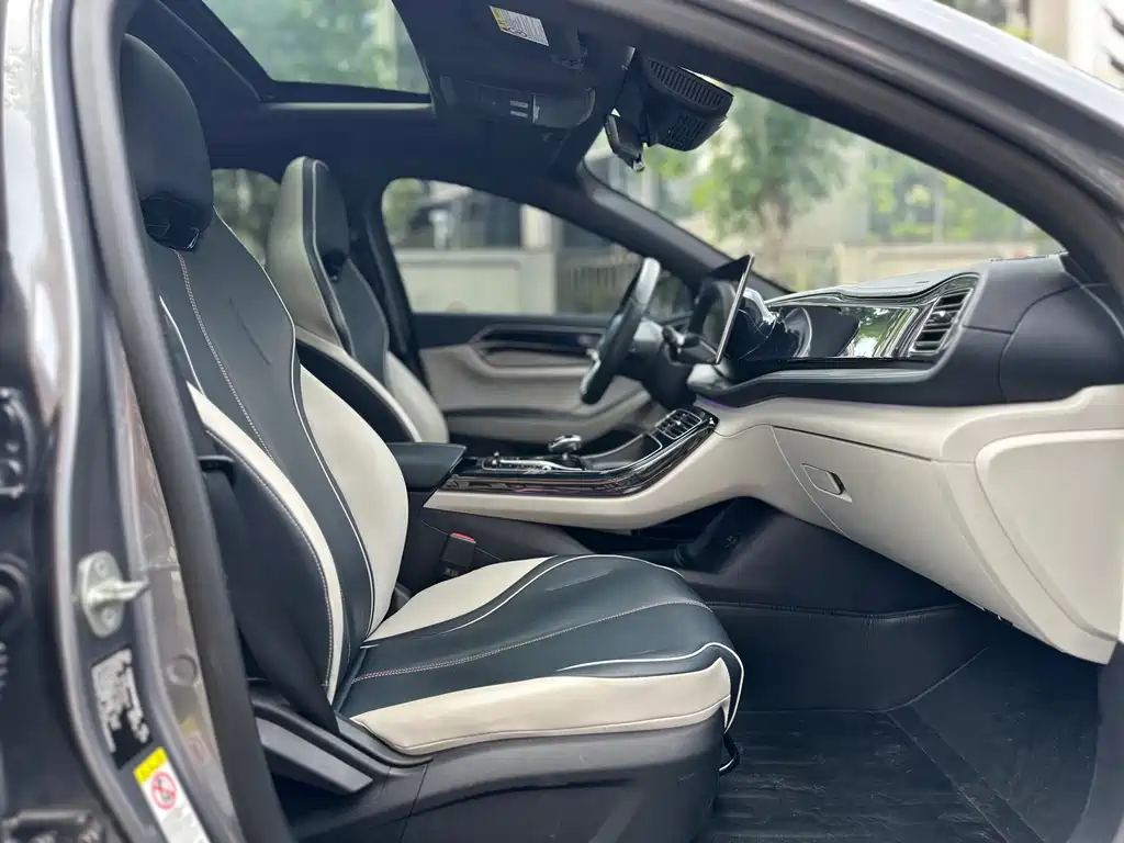 BYD Qin PLUS 2021 — фото 11