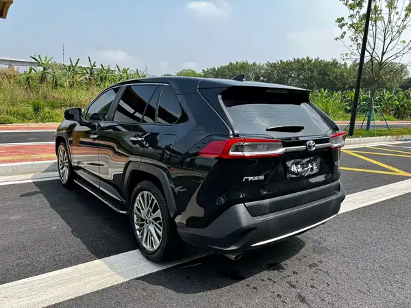 Toyota Wildlander 2020