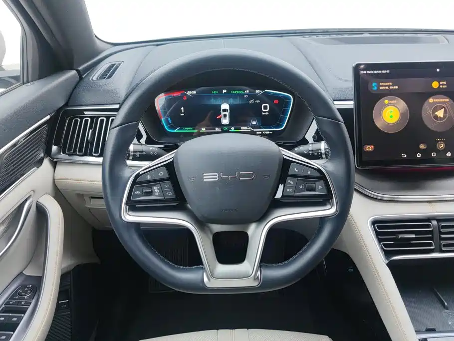 BYD Song PLUS New Energy 2023 — фото 15