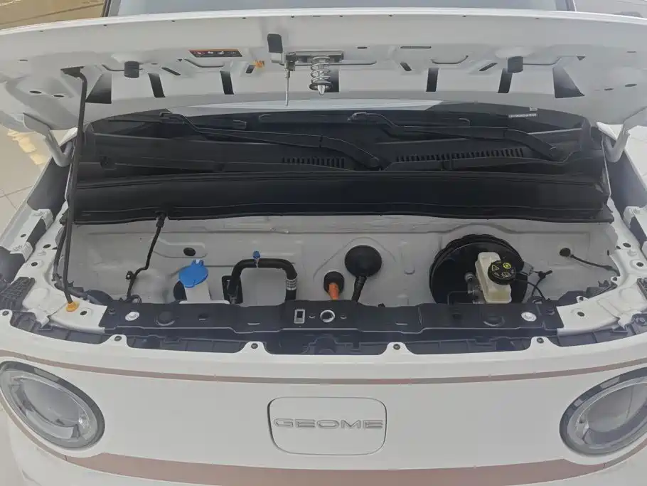 Geely Galaxy Panda 2025 — фото 10