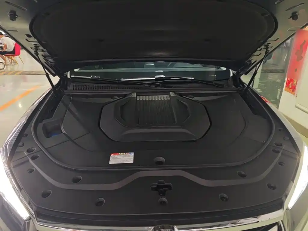 BYD Pro New Energy 2020 — фото 20