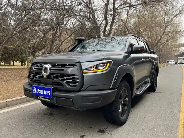 Great Wall Poer 2021