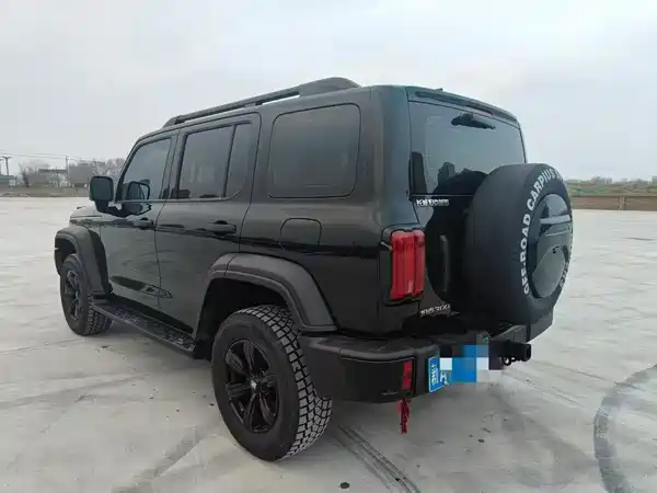 Tank 300 2024