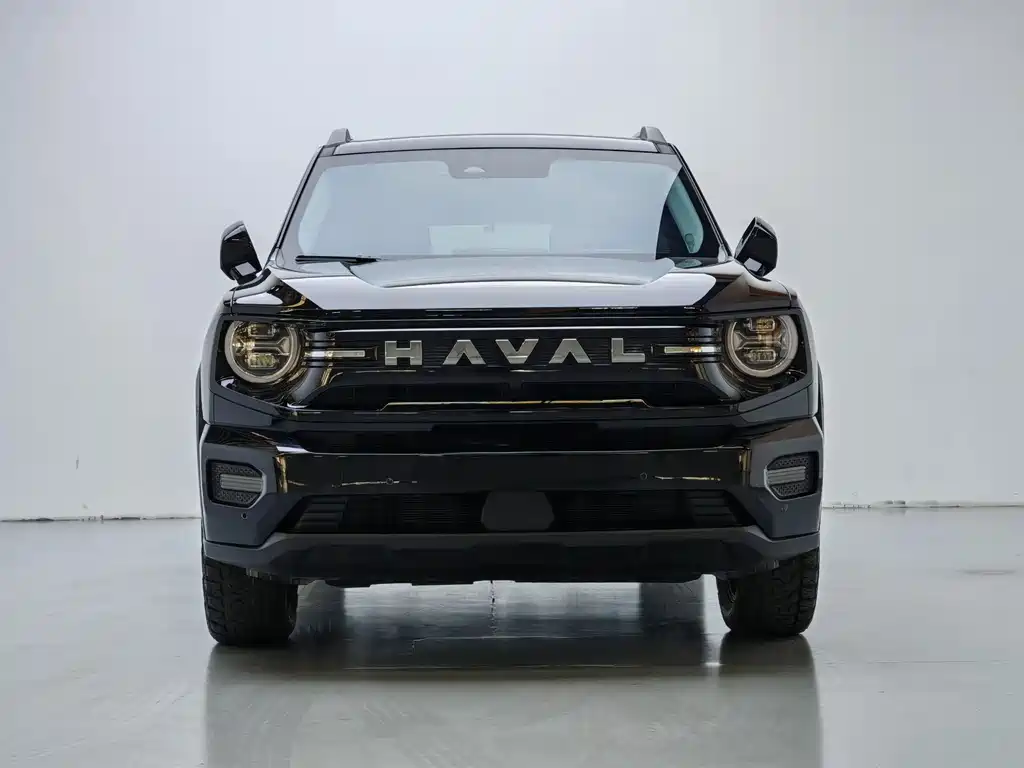 Haval Dargo PLUS EV 2025 — фото 2