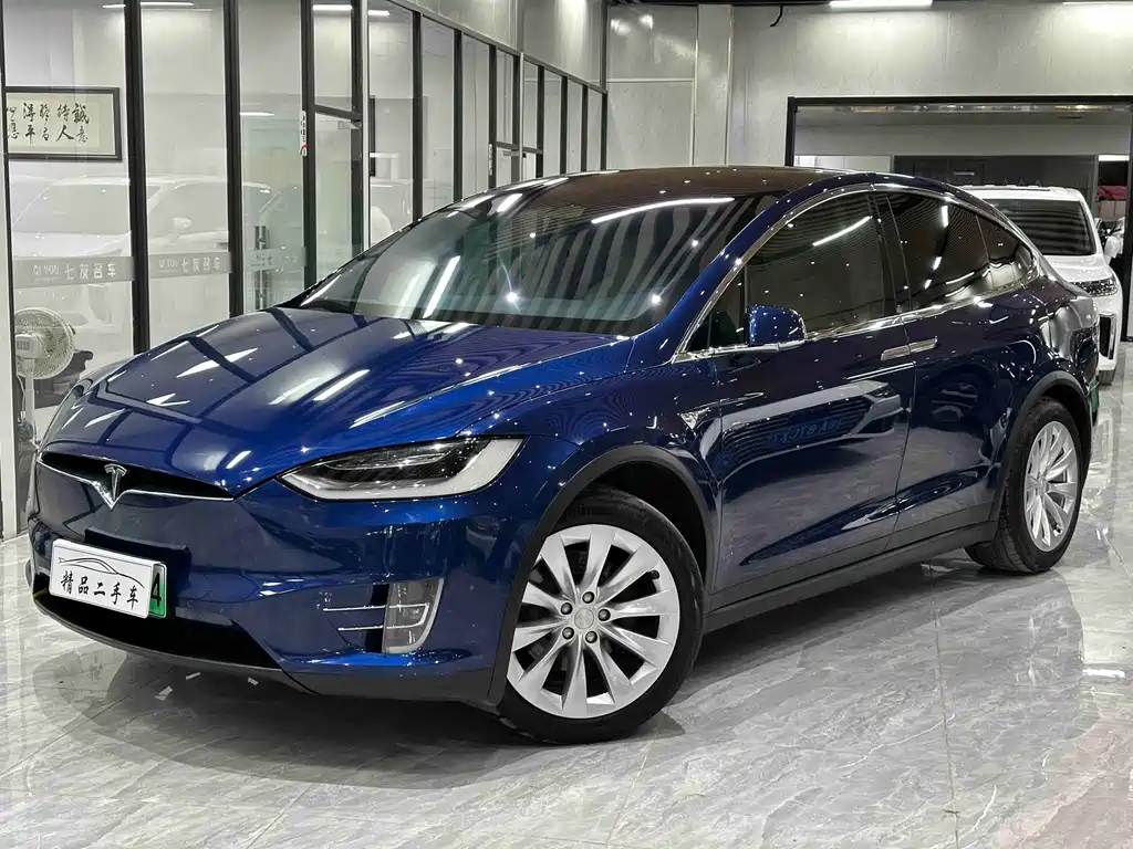 Tesla Model X 2019 — фото 1