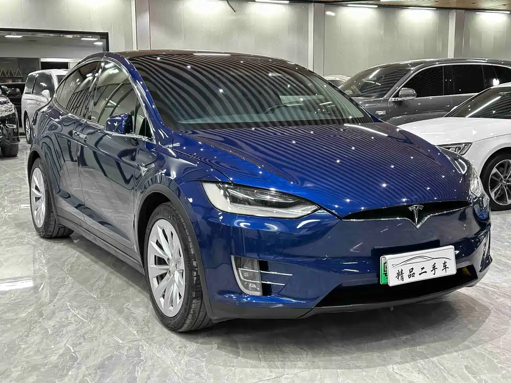 Tesla Model X 2019 — фото 3