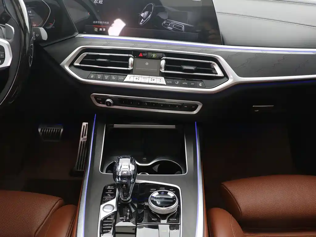 BMW X7 2021 — фото 8