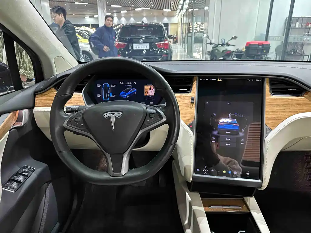 Tesla Model X 2019 — фото 16