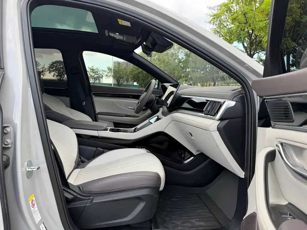 BYD Song PLUS New Energy 2024 — фото 6