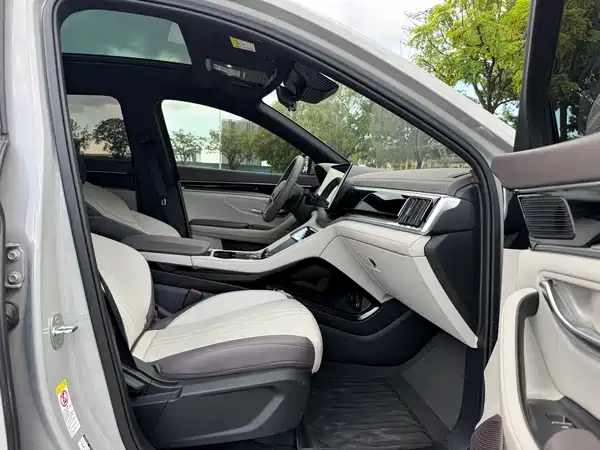 BYD Song PLUS New Energy 2024