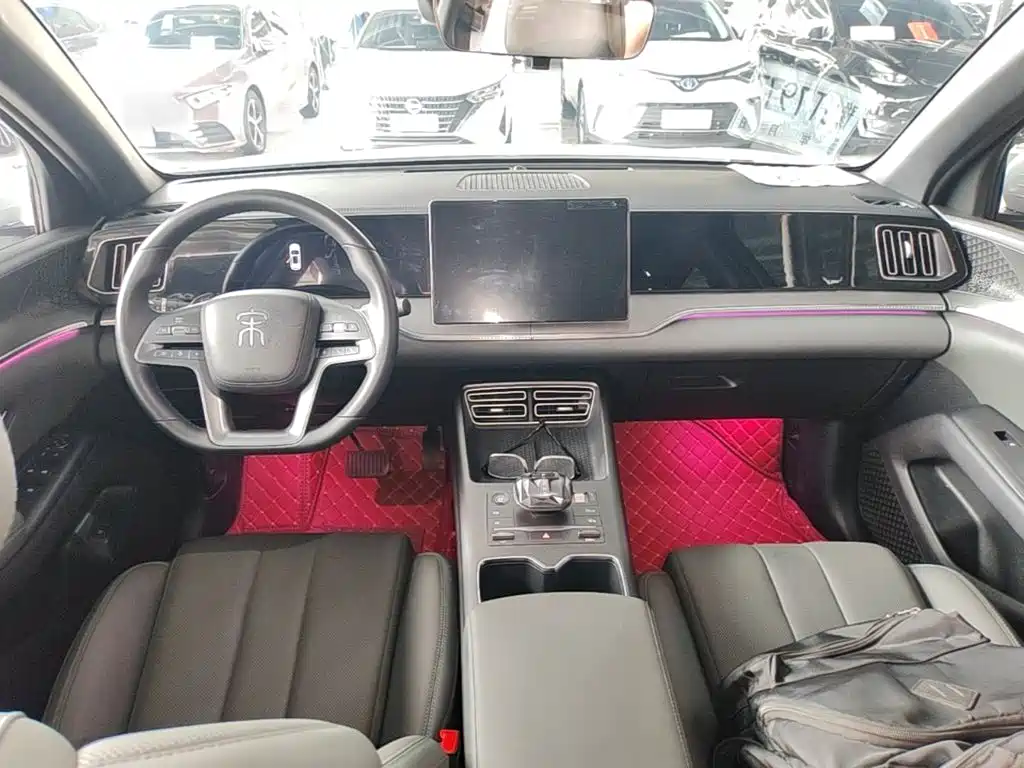 BYD Song Pro New Energy 2025 — фото 10