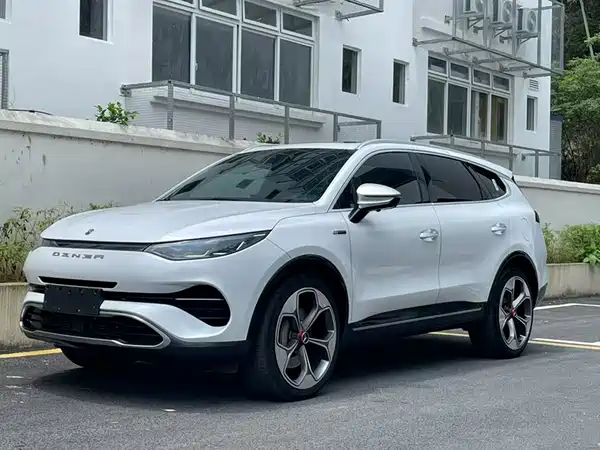 Denza X 2020