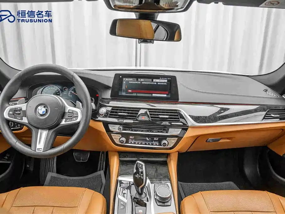 BMW 5 Series 2019 — фото 13