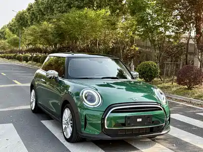 MINI MINI 2021