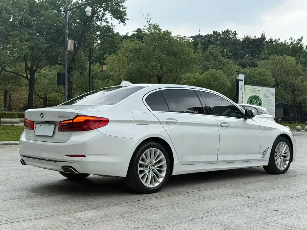 BMW 5 Series 2019