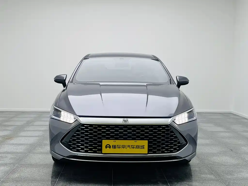 BYD Qin PLUS 2023 — фото 2