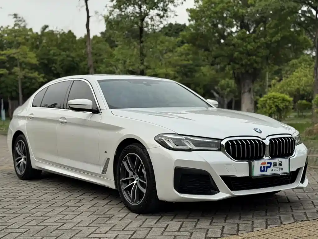 BMW 5 Series New Energy 2021