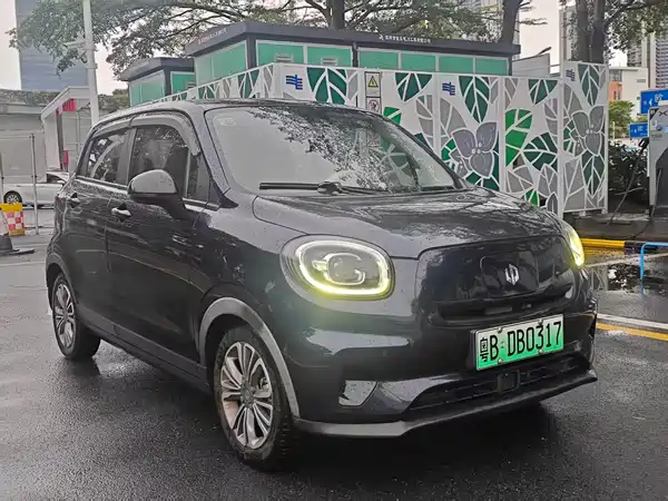 Leapmotor T03 2021