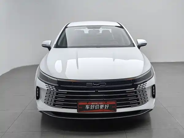 BYD Destroyer 05 2024