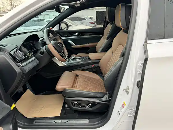 BYD Tang New Energy 2021