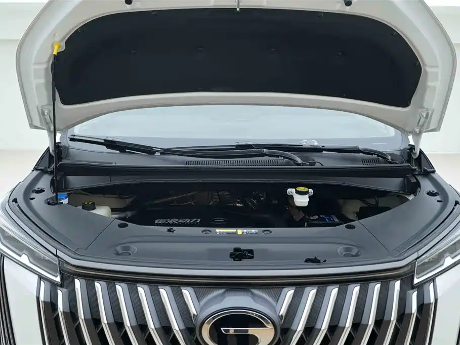 GAC Motor Trumpchi M8 2024