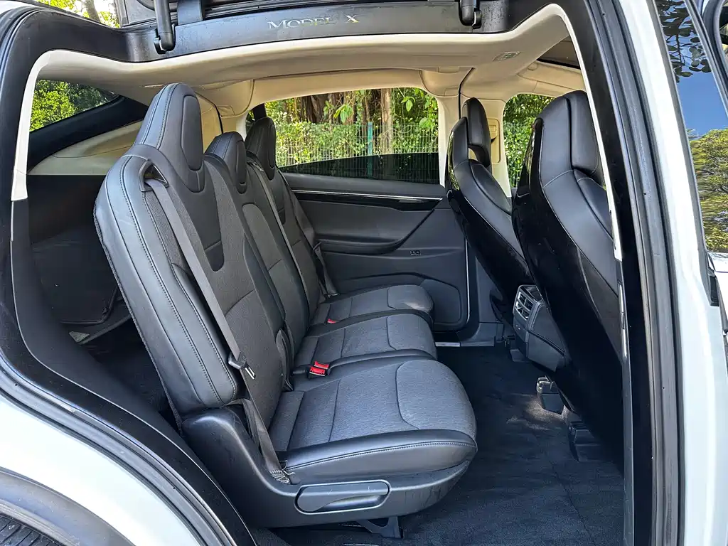 Tesla Model X 2016 — фото 16