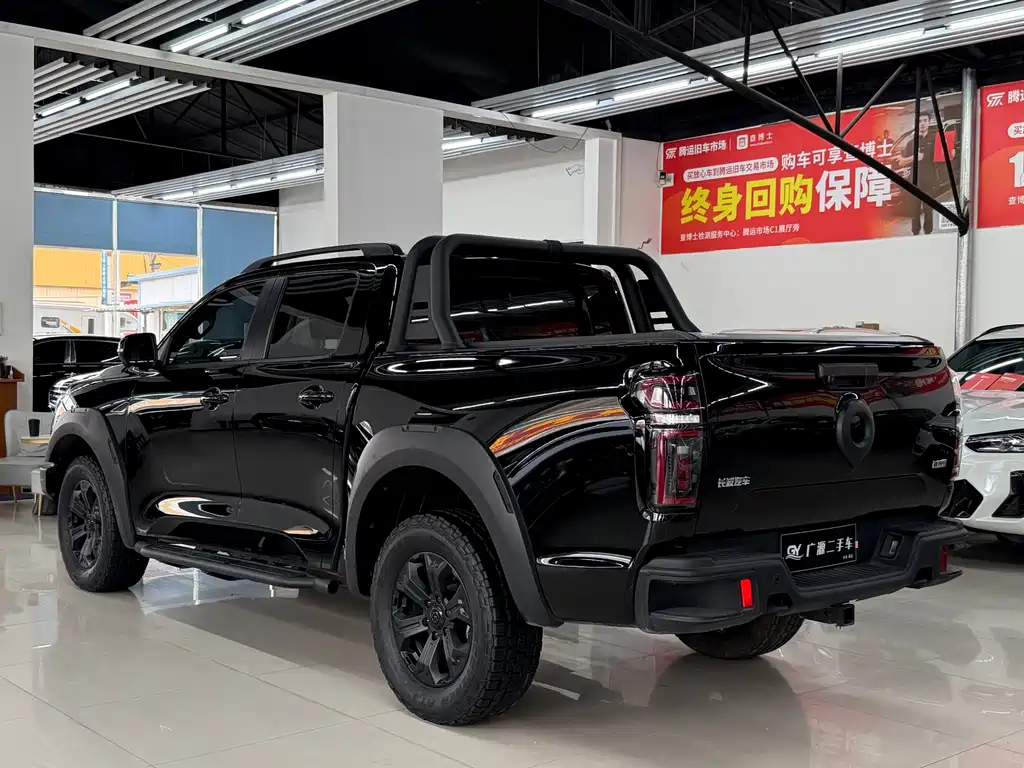 Great Wall Pao 2024