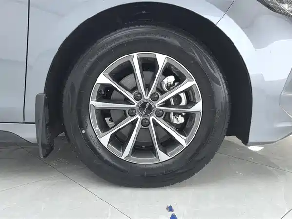 BYD Destroyer 05 2024