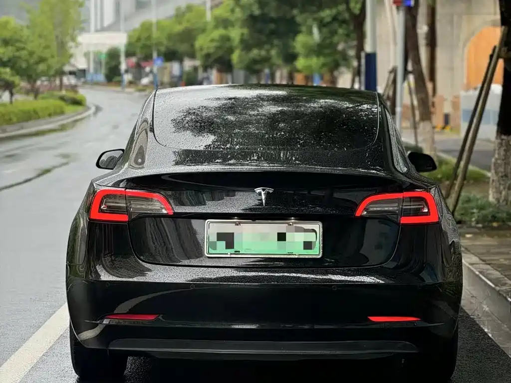 Tesla Model 3 2021 — фото 3