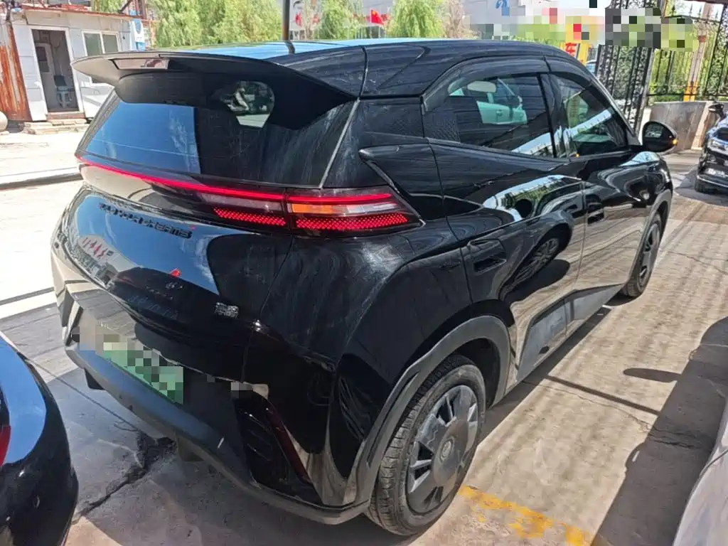 BYD Seagull 2024