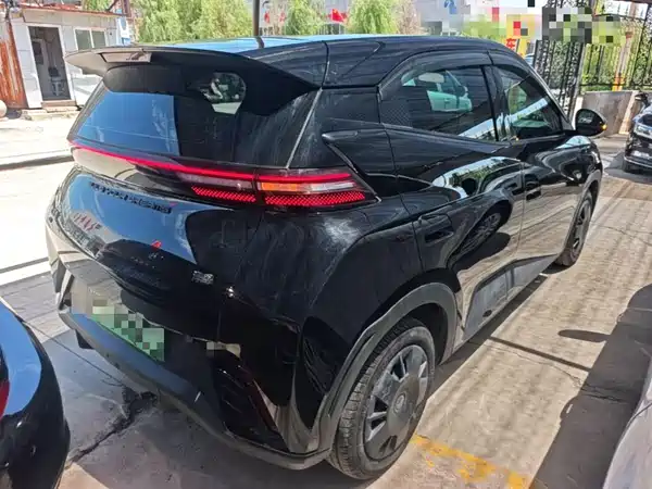 BYD Seagull 2024