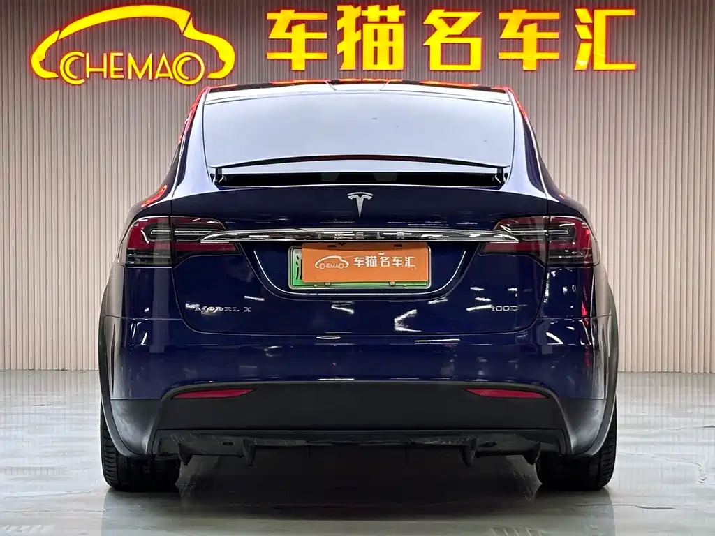 Tesla Model X 2018 — фото 25
