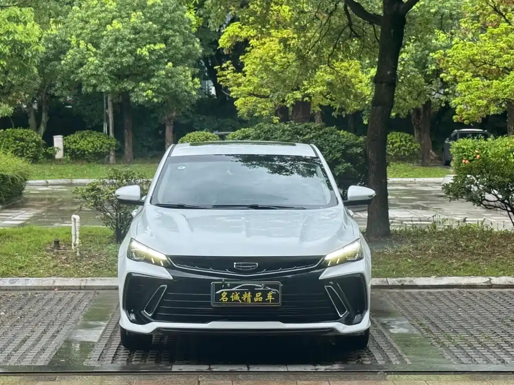 Geely Binrui 2023