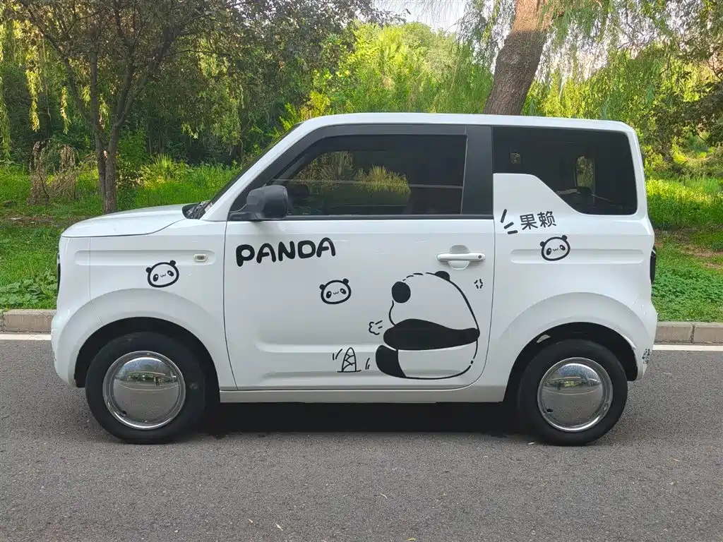 Galaxy Panda 2024