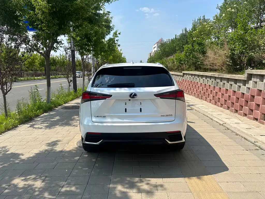 Lexus NX 2021