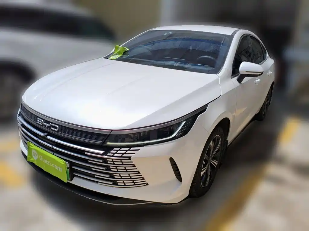 BYD Destroyer 05 2024