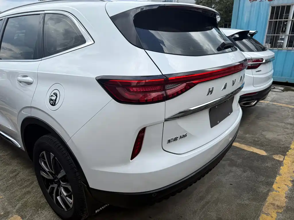 Haval H6 2021 — фото 13